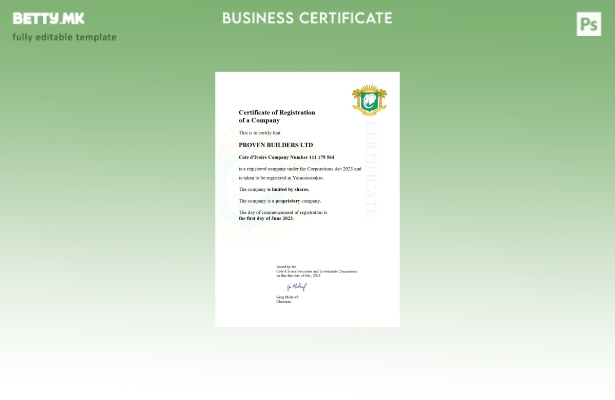 модерен стил Брегот на Слоновата Коска сертификат за регистрација Шаблон за Word